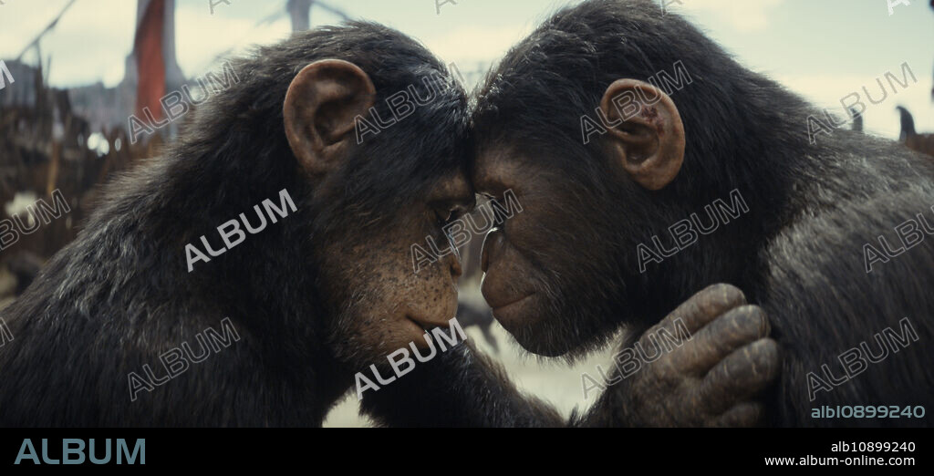 OWEN TEAGUE in KINGDOM OF THE PLANET OF THE APES, 2024, directed by WES BALL. Copyright Disney Studios Australia Twentieth Century Fox.