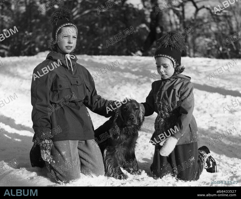 ARKIV STOCKHOLM 19500113. Prinsessorna Désirée (t.v.) och Christina med hunden Bimbo i Hagaparken en vinterdag.. Foto: Owe Sjöblom / AB Text & Bilder / SVT / Kod: 5600. Mapp: Hagaprinsessorna tillsammans K 86g. Mössor Sällskapsdjur Hagasessorna Hagaprinsessorna.