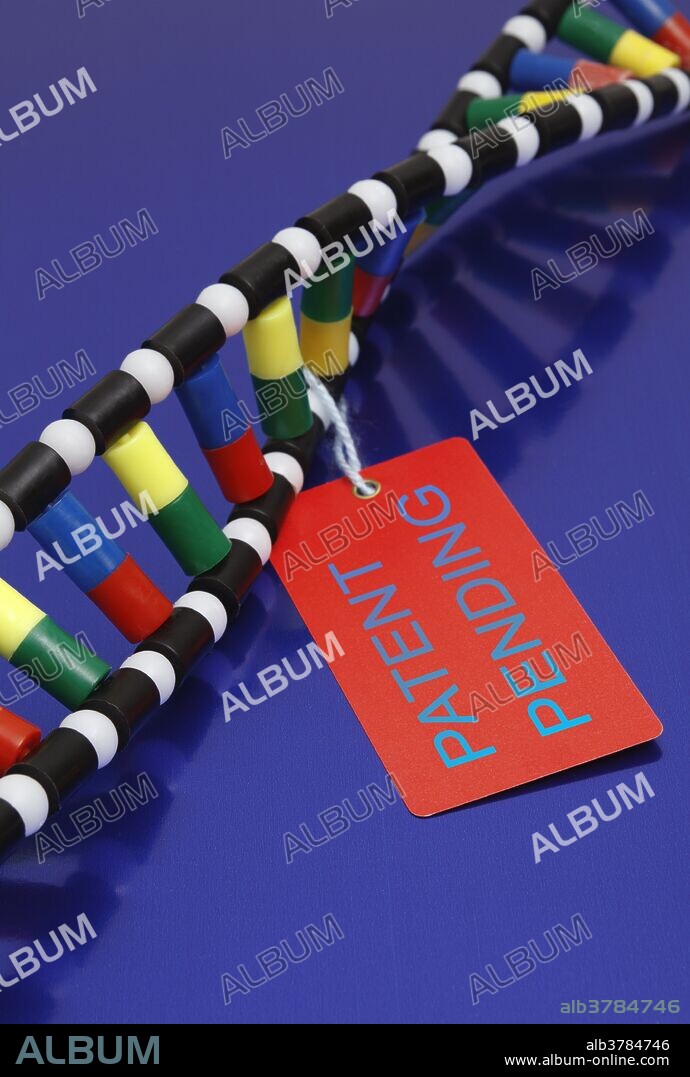 DNA double helix color-coded model with a patent pending tag attached. Black: deoxyribose, white: phosphate group, green: adenine, yellow: thymine, red: cytosine, blue: guanine.