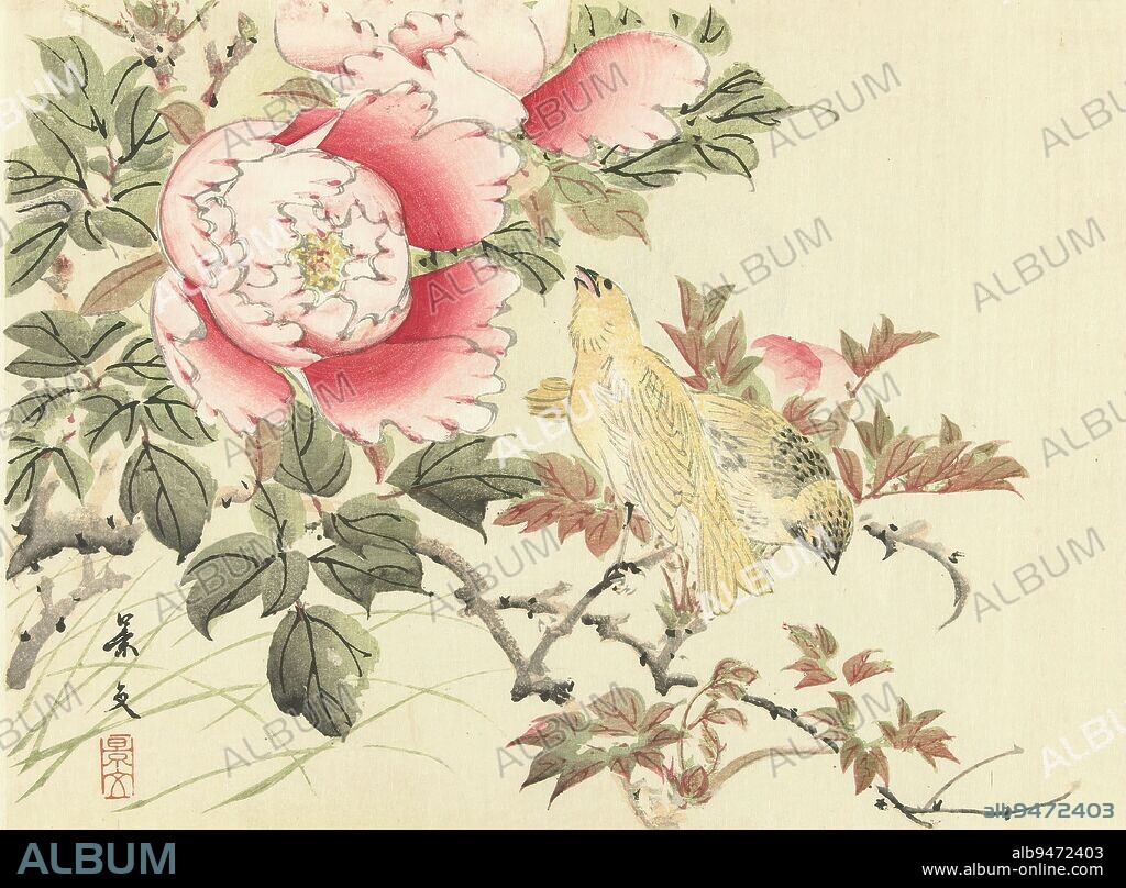 Birds and peonies, Flower and bird sketches of Keibun- part one (series title), Keibun kacho gafu zenpen (series title on object), Two yellow birds near pink peonies., print maker: Matsumura Keibun, (mentioned on object), printer: Aoki Kôsaburô, publisher: Aoki Kôsaburô, (mentioned on object), print maker: Japan, printer: Osaka, publisher: Osaka, Jul-1892, paper, color woodcut, height 208 mm × width 276 mm.