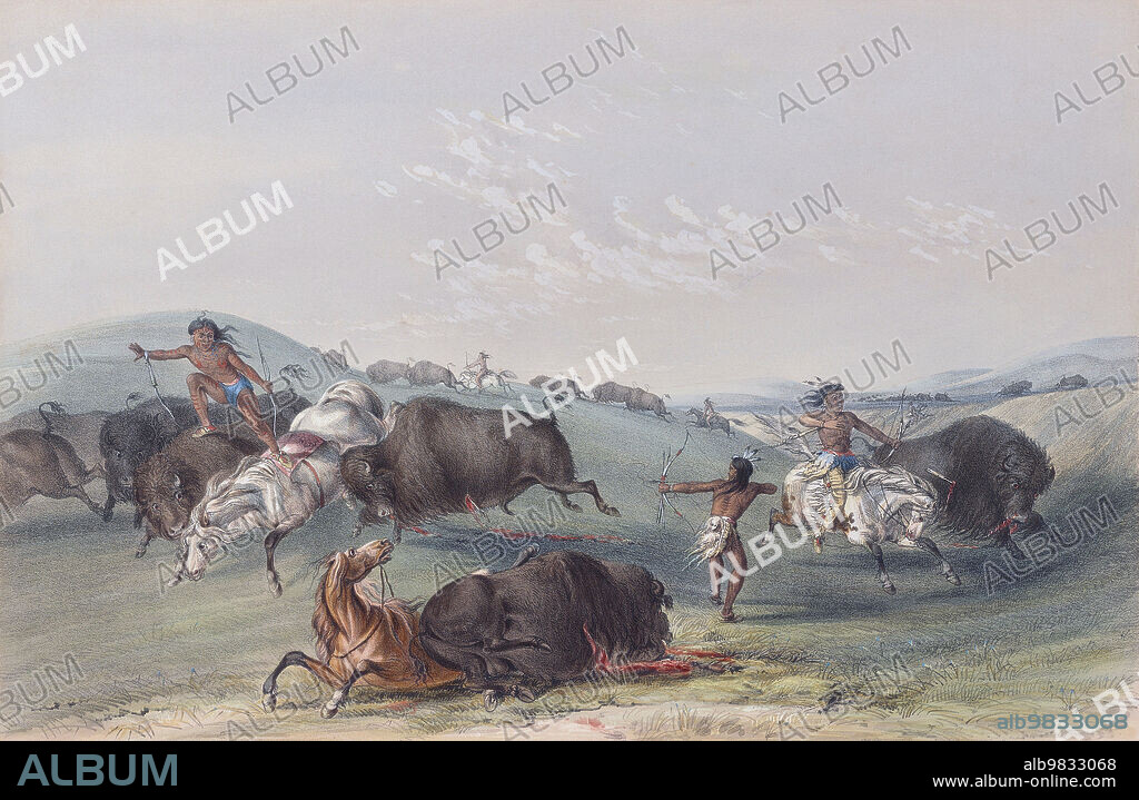 Buffalo hunt chase. A plains Indian on horseback shoots at a buffalo with his bow and arrow. American bison (B. bison). From Catlin's North American Indian Portfolio, published in London 1844 by the artist, American adventurer George Catlin, 1796 - 1872. During many journeys Catlin recorded with pen and brush the customs and life-styles of Native American tribes.