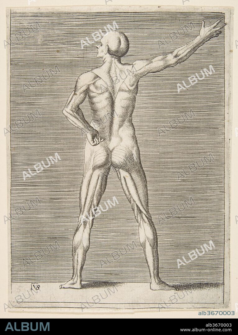 Flayed man seen from the back, his right arm extended. Artist: Giulio Bonasone (Italian, active Rome and Bologna, 1531-after 1576). Dimensions: sheet: 6 1/4 x 4 1/2 in. (15.8 x 11.4 cm). Date: ca. 1531-76.