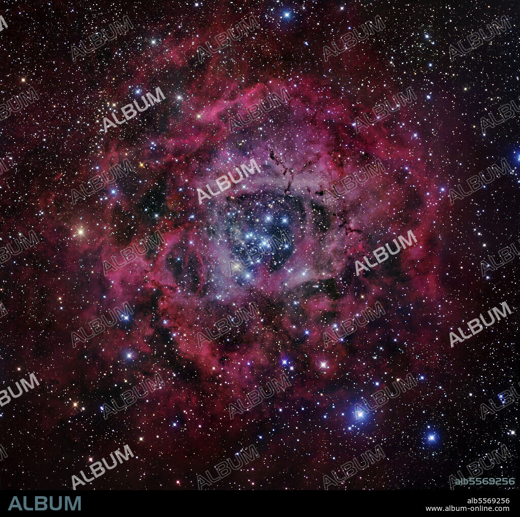 The Rosette Nebula is a large, circular H II region located near one end of a giant molecular cloud in the constellation Monoceros.