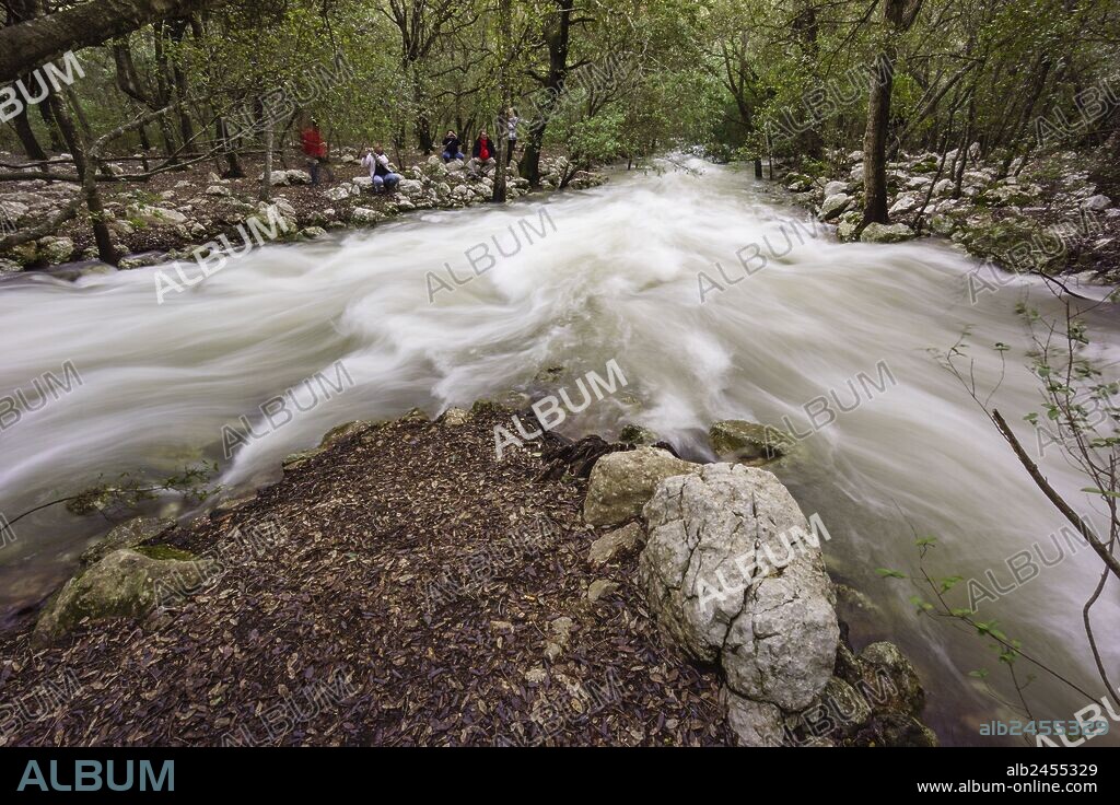 Fonts Ufanes, monumento natural protegido,finca publica Gabelli Petit,Campanet, Mallorca, islas baleares, Spain.