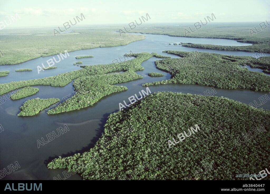 Aerial view of channels in mangroves, Everglades National Park, south of Everglades City, Florida.