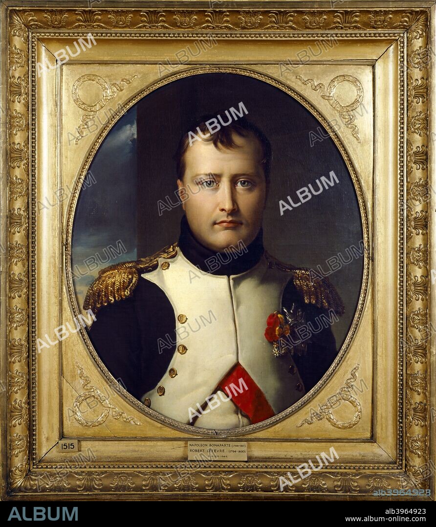Portrait of Napoleon Bonaparte, 19th century. From the collection at Apsley House, London.