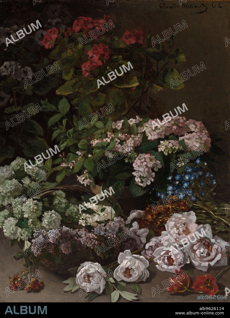 Spring Flowers, 1864. This early work reveal's Monet's fascination with capturing the transitory effects that became the primary focus of his later innovations. Painted with almost scientific accuracy, this still life has a freshness and immediacy derived partly from its composition. Isolated against a dark background, the fully mature peonies, potted hydrangeas, and basketed lilacs spill downward and outward from the geraniums at the rear. At the same time, Monet's energetic brushwork conveys the sparkling play of light on leaves and petals.