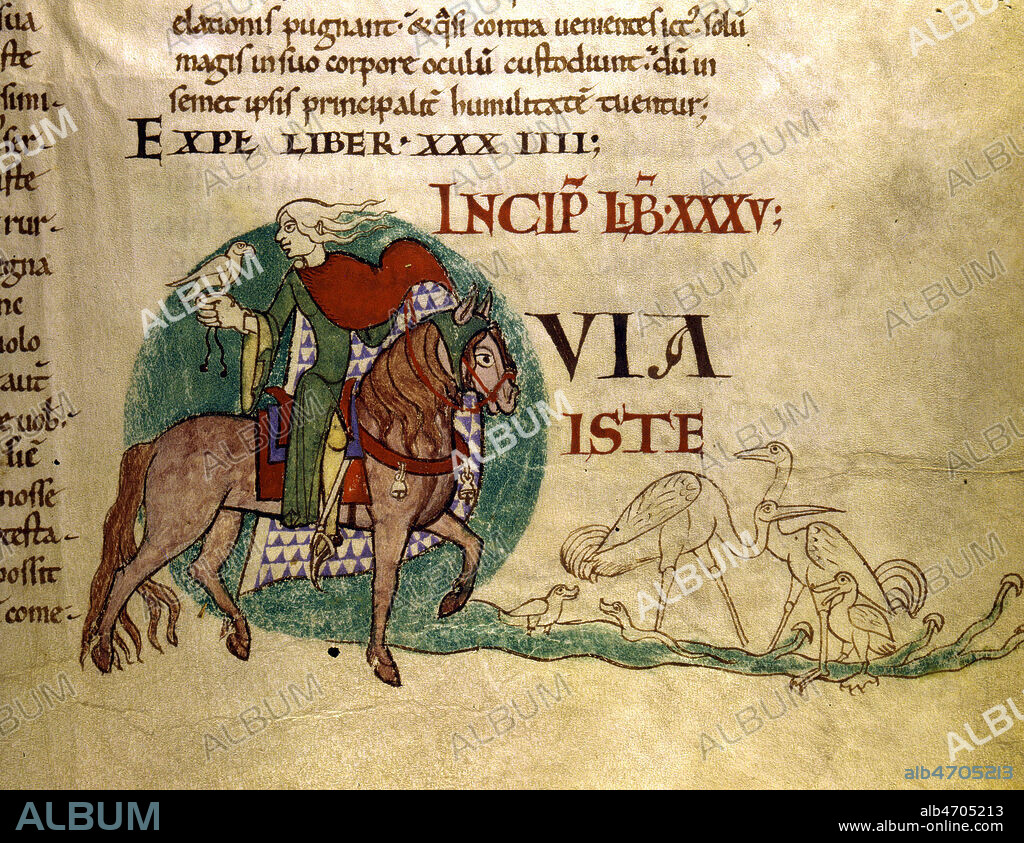 Chevalier chassant avec un faucon. Enluminure provenant de 'Moralia in Job' par ST GREGOIRE, ouvrage du 12eme s. (XIIe, 12e s.). Manuscrit medieval conserve a la bibliotheque municipale de Dijon. Credit Collection JEAN VIGNE/KHARBINE TAPABOR.