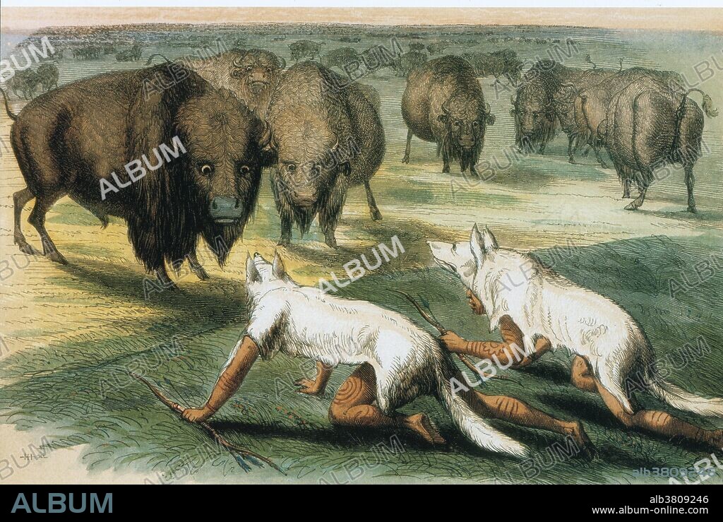 Oil painting entitled: Hunting Buffalo Camouflaged with Wolf Skins, 1832, by George Catlin. George Catlin (1796-1872) was an American painter, author and traveler who specialized in portraits of Native Americans in the Old West. Catlin foresaw a tragic future for the American bison and attempted to keep a record of this magnificent mammal from every angle and at every stage of its life.