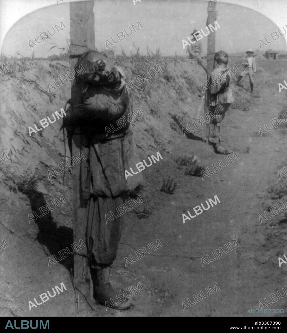 Chinese Boxer prisoners executed at Tientsin, China during the suppression of the Boxer Rebellion 1901.