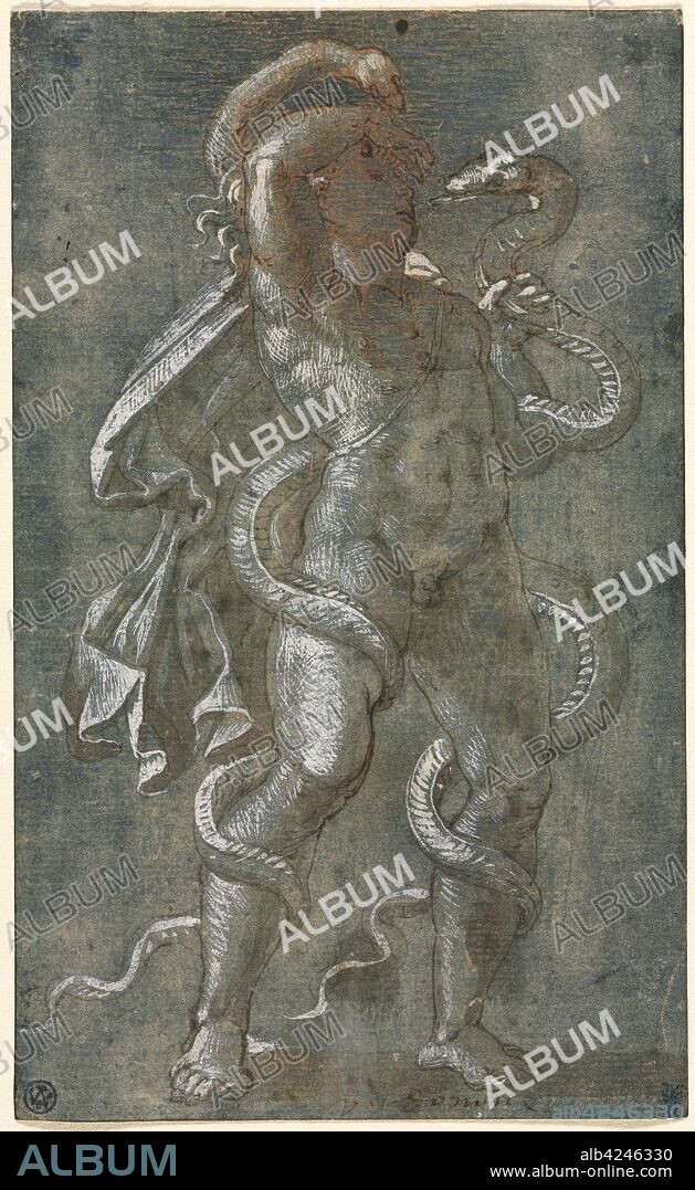 Man Entwined by Two Snakes, c. 1527. Attributed to Giovanni Antonio da Pordenone (Italian, 1483/84-1539). Pen and brown ink and brush and brown wash with blue gouache, heightened with white gouache; framing lines in brown ink; sheet: 19.2 x 11.7 cm (7 9/16 x 4 5/8 in.).
