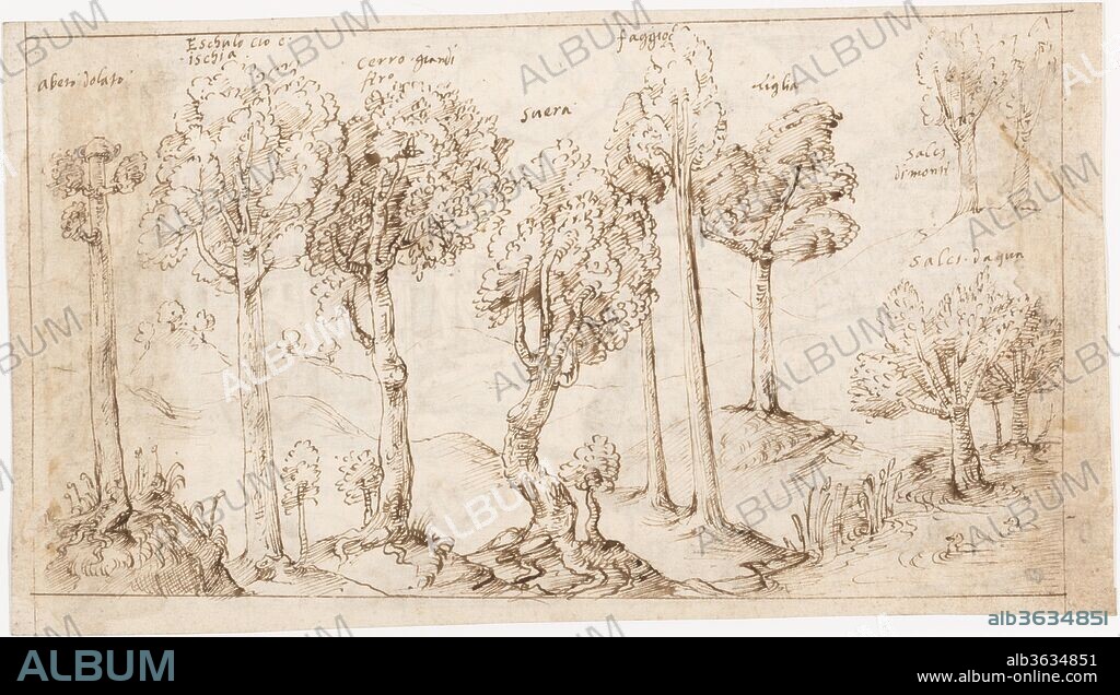 Recto: On Timber, the Species of Trees (Vitruvius, Book 2, Chapter 9, no. 4); Verso: On Timber, the Battle of Larignium (Vitruvius, Book 2, Chapter 9, no. 15).. Artist: Attributed to a member of the Sangallo family (Florence, ca. 1530-1545). Author: Original Treatise Written by Marcus Pollio Vitruvius (Roman, active late 1st century B.C.). Dimensions: sheet: 5 7/8 x 10 3/8 in. (15 x 26.4 cm). Date: 1530-45.