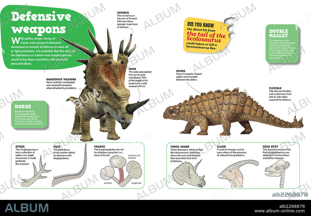Defensive weapons. Infographic about the various weapons dinosaurs used to fend off predators.