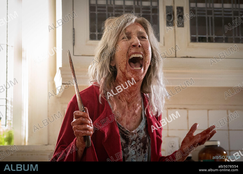 LIN SHAYE en MALDICION, LA [THE GRUDGE], 2020 (THE GRUDGE), dirigida por NICOLAS PESCE. Copyright SCREEN GEMS.