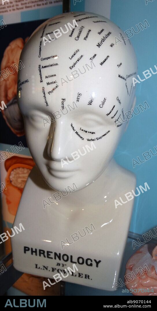 Phrenology is a pseudoscience primarily focused on measurements of the human skull, based on the concept that the brain is the organ of the mind and that certain brain areas have localized, specific functions or modules. The direct link between the morphology of the skull and the human character was discovered by Franz Joseph Gall (1758-1828),.