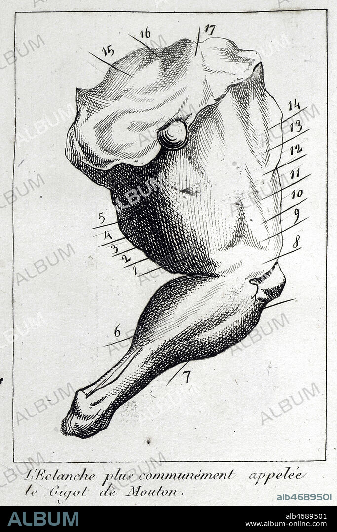 'L'eclanche plus communement appelee le gigot de mouton' Gravure dans Le Manuel des amphitryons contenant un traite de dissection des viandes a tables..par GRIMOD de la REYNIERE (1758-1837) gastronome francais, en 1808. Credit: Coll. BHVP-Grob/KHARBINE-TAPABOR.