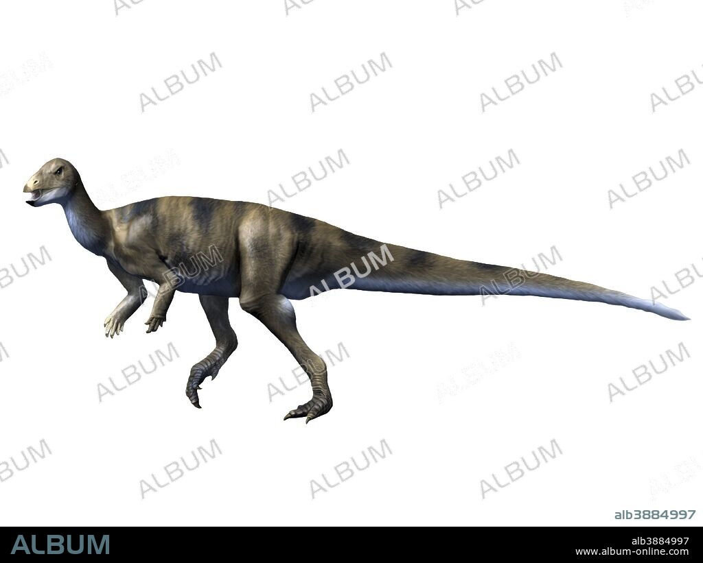 Albertadromeus syntarsus, Late Cretaceous of Canada.