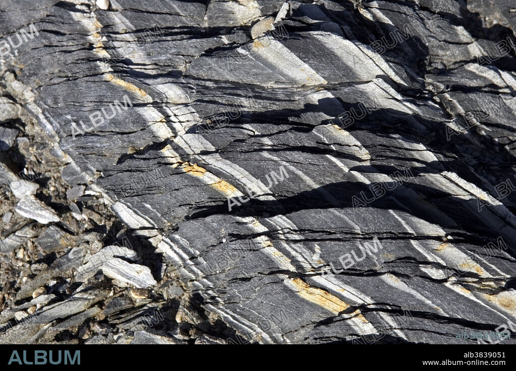 Gneiss rock. Gneiss is a metamorphic rock that forms under pressure deep inside the Earth, altering existing igneous or sedimentary rocks. Here, white bands are seen running through the gneiss. Subsequent movements of the Earth and erosion have brought the gneiss to the surface. Photographed on Spitsbergen Island, part of the Norwegian Svalbard archipelago in the Arctic Ocean.