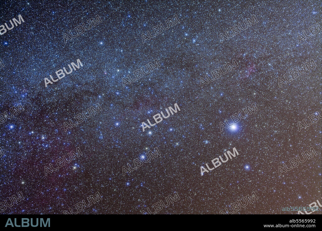 The constellation of Canis Major, with Sirius at upper right, Messier 41 cluster to the left of Sirius, and M46 and M47 clusters above at upper right.