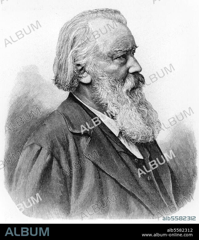 ANONYMOUS. Brahms, Johannes Composer, Hamburg 7.5.1833 - Vienna 3.4.1897. Portrait. Wood engraving, 1890, after photograph.