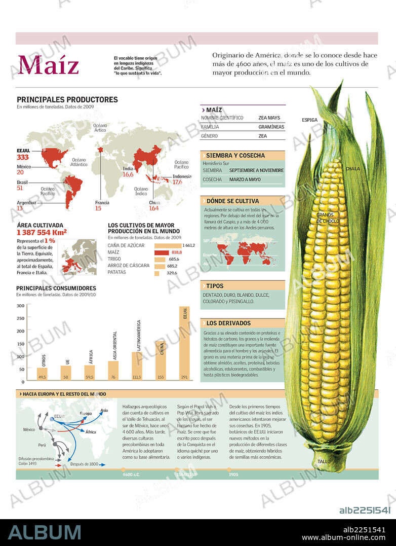 MAIZ. Infografía con los principales datos de producción y cultivo del maíz en el mundo.