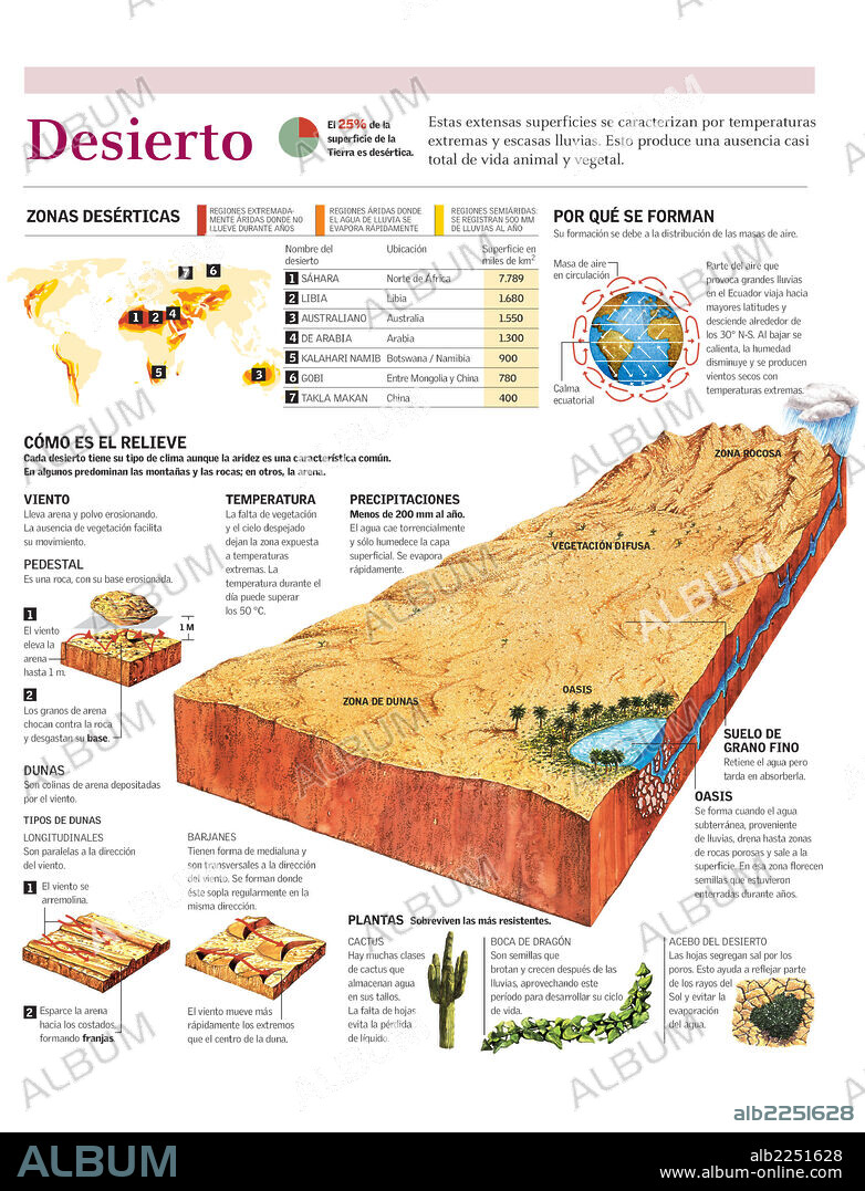 DESIERTO. Infografía de la formación, relieve y flora del desierto. Mapa con los principales desiertos del mundo.