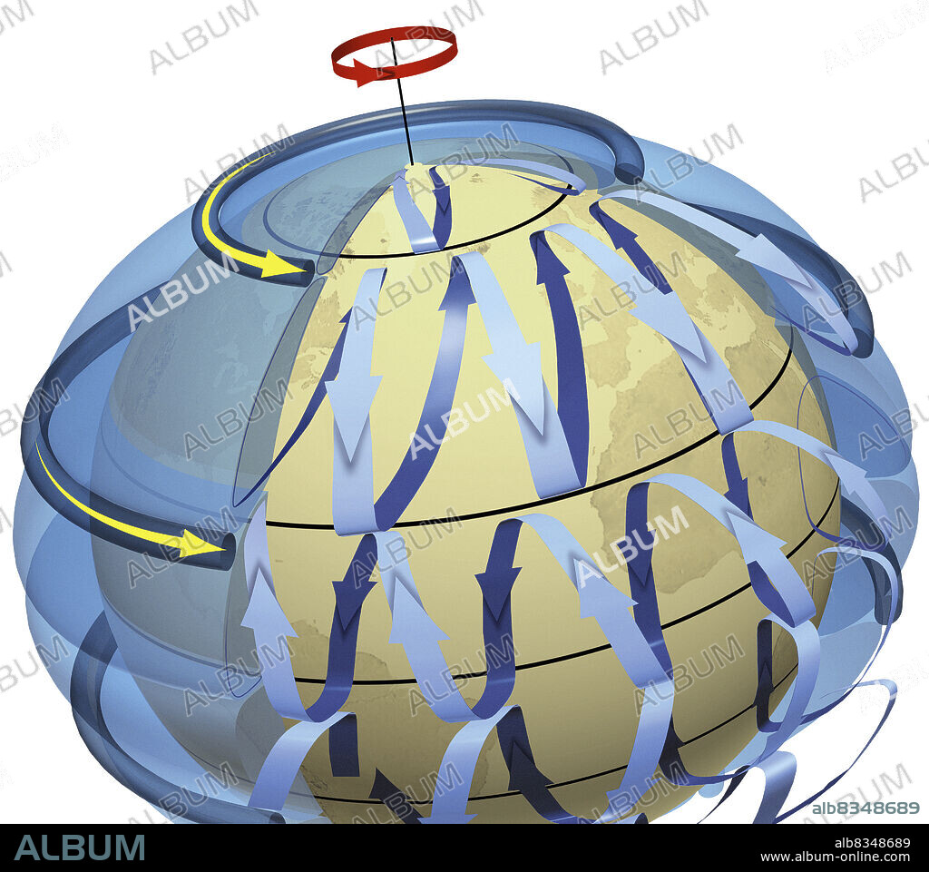 Above each of Earths hemispheres are three loops of atmospheric circulation: the polar cell, the Ferrel cell, and the Hadley cell. These loops are composed of ascending and descending movements, caused by the pressure gradient, and horizontal movements, caused by the Coriolis force. In each circuit, the warm air rises, moves at high altitude, descends again as it cools, then is warmed again as it moves on the surface in a constant direction.