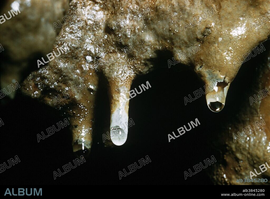"Soda straw" speleothems are hollow mineral tubes that form in places where water leaches slowly through cracks in rock, often in caves.