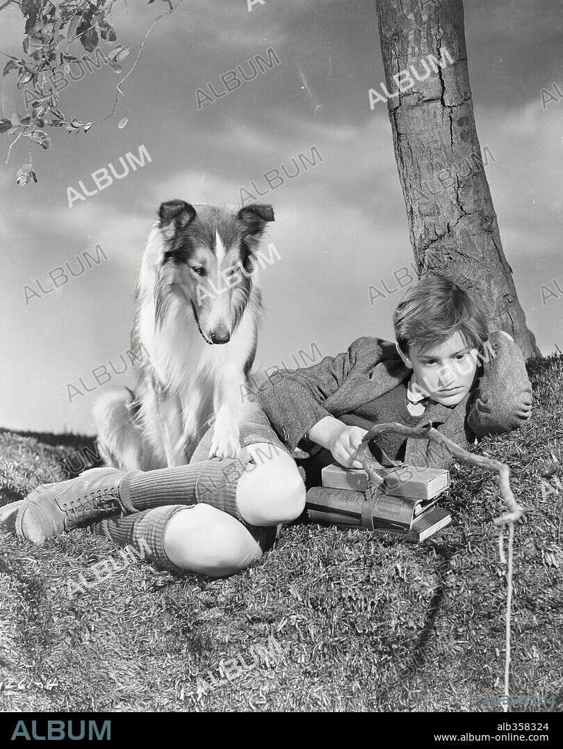 RODDY McDOWALL en LA CADENA INVISIBLE, 1943 (LASSIE COME HOME), dirigida por FRED M. WILCOX. Copyright M.G.M.