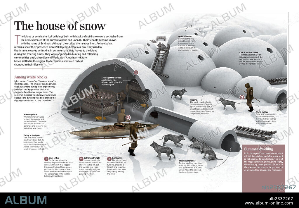 La casa de nieve. Infografía sobre el estilo de vida de los inuits (pueblos esquimales) y sus tipicas viviendas, los iglús.