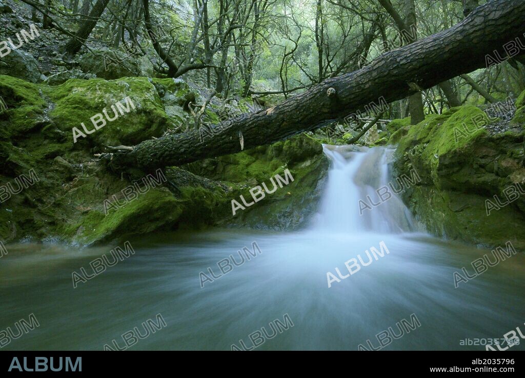 Torrente de Es Freu. Orient,Sierra de Tramuntana.Mallorca.Islas Baleares. España.