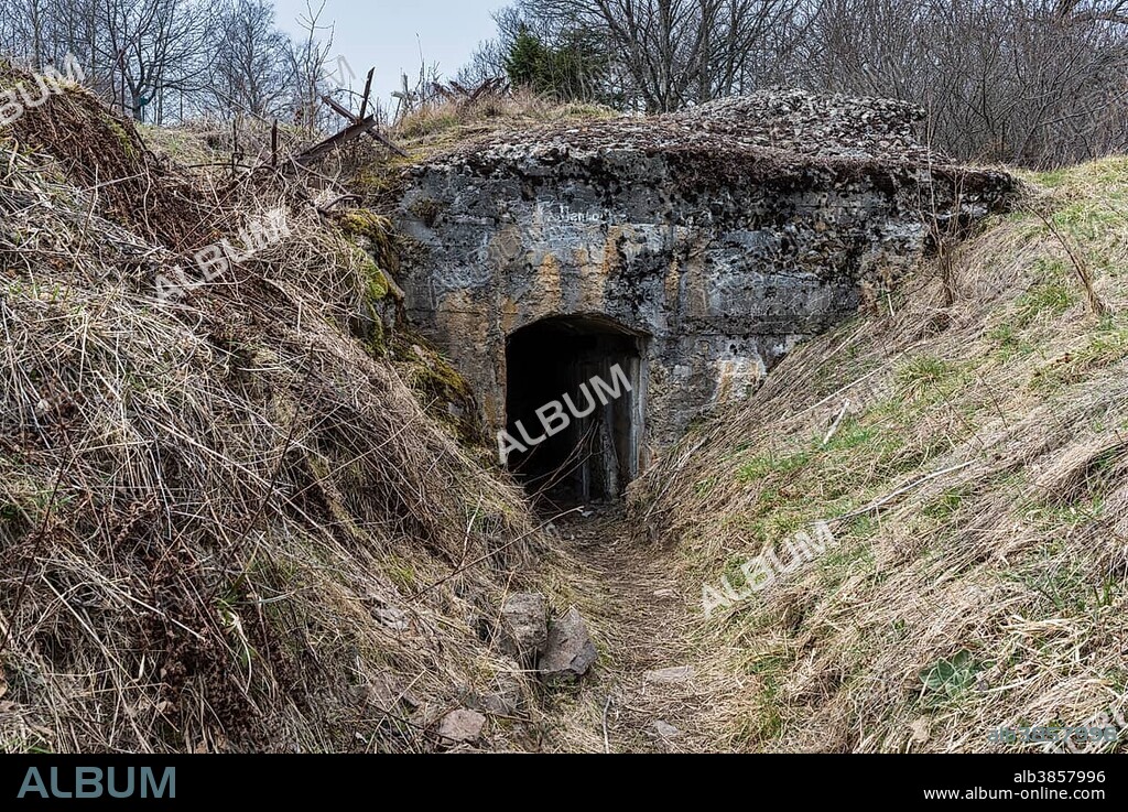 Trenches and bunker, Hartmannswillerkopf, national monument of World War I, Wattwiller, Vosges, Alsace, France, Europe.