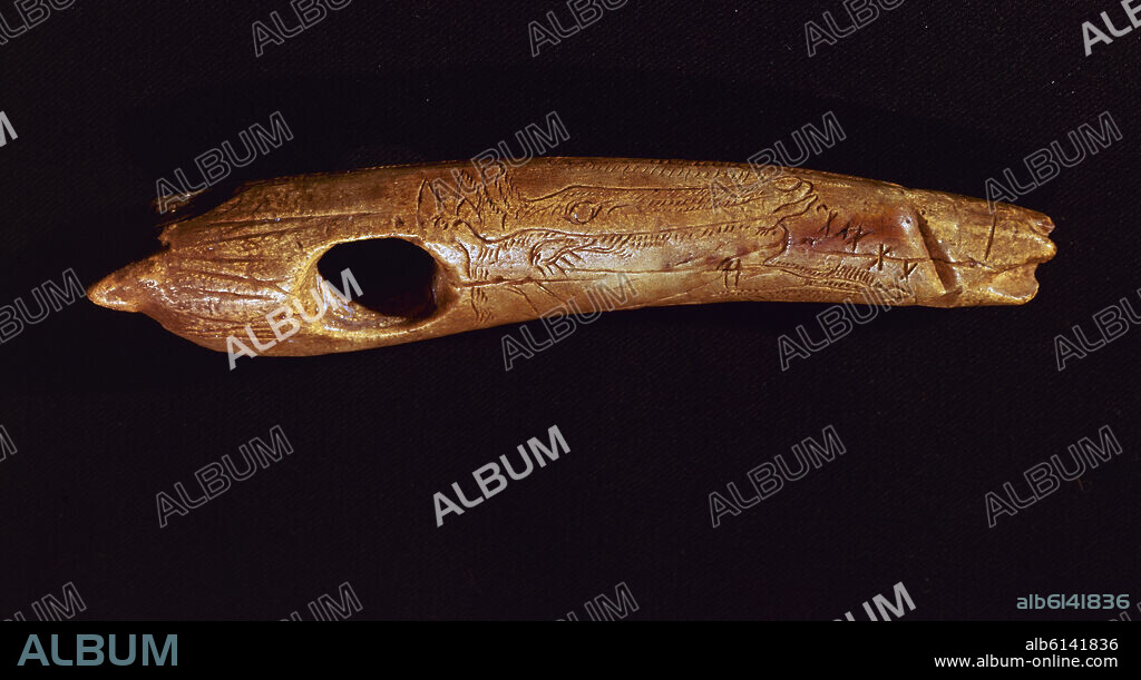 BASTON DE MANDO EN HUESO DE LA CUEVA DEL PENDO CAMARGO (CANTABRIA) - MAGDALENIENSE-PALEOLITICO SUPERIOR- 15000-10000 a J.C.