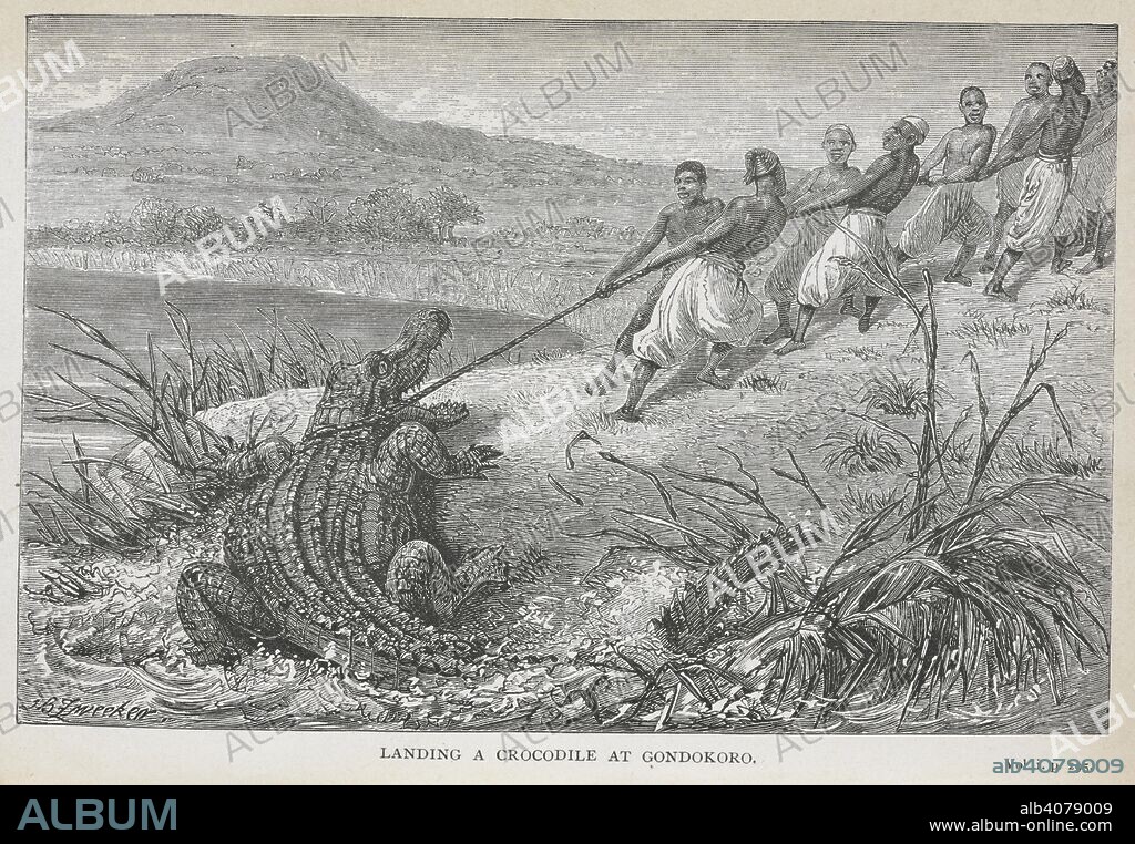 BAKER, SAMUEL W, SIR.. Landing a crocodile at Gondokoro. Ismailia : a narrative of the expedition to central Africa for the suppression of the slave trade / Sir Samuel W. Baker. [S.l.] : MacMillan and Co., 1874. Source: W8/10292 plate opposite page 295.