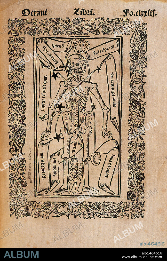 Ramon Llull (1235-1316). Spanish writer and philosopher.  Practica Compendiosa Artis Raymundi Lulli, 1523. Book 8. Medicine subject. Description of the human skeleton.