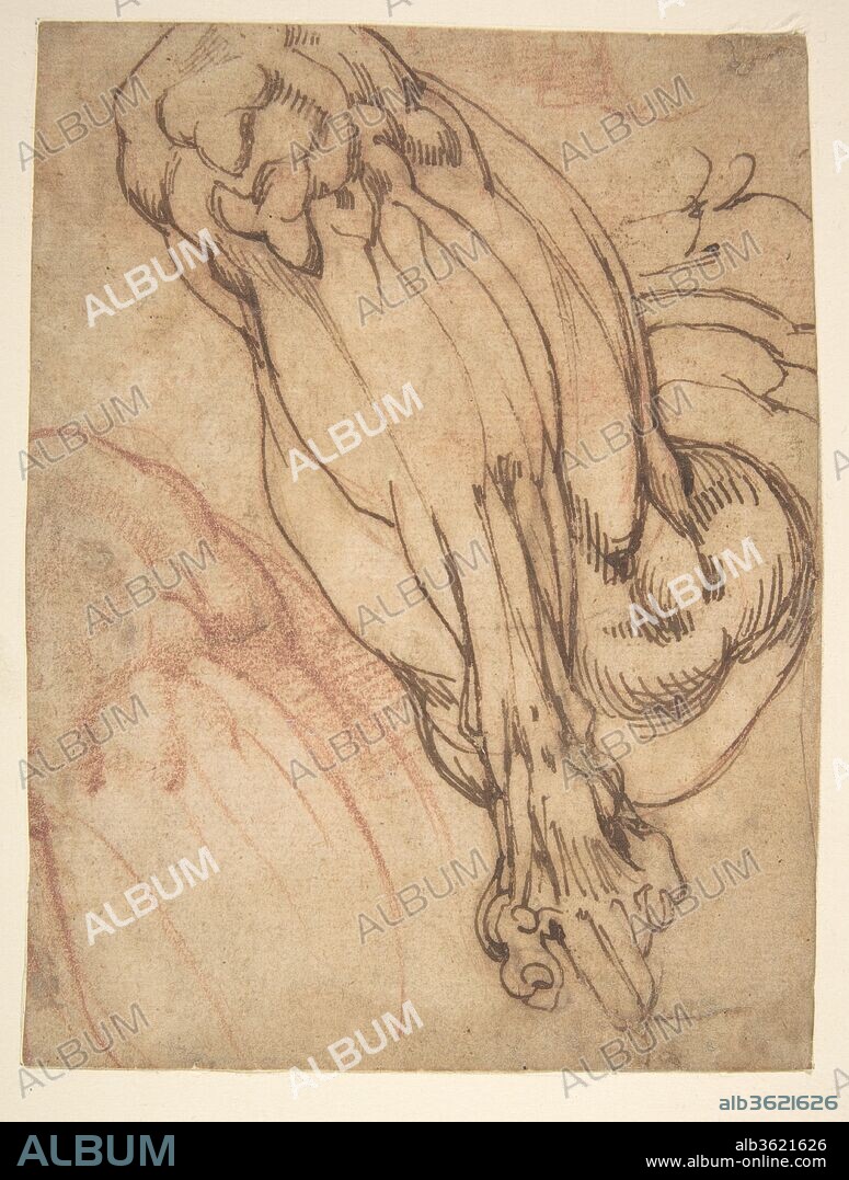 Anatomical Studies of a Leg (recto); Study of a Leg (verso). Artist: School of Michelangelo Buonarroti (Italian, Caprese 1475-1564 Rome). Dimensions: 6 3/4 x 5 3/16 in. (17.1 x 13.2 cm). Date: 1475-1564.