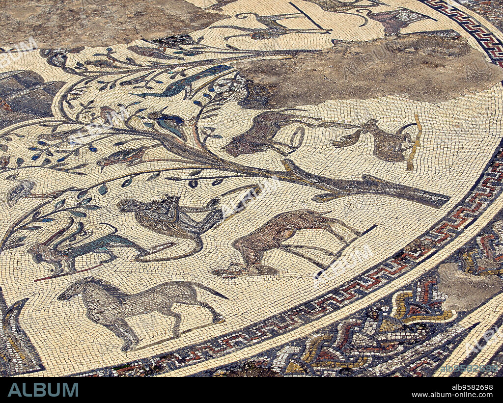 Mosaicos de la casa de orfeo.Ciudad Romana de Volubilis(II d.c.), yacimiento arqueologico.Marruecos.