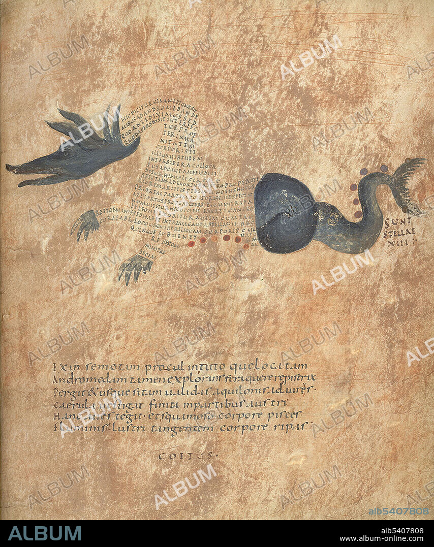 Aratea, Cetus Constellation,  9th Century