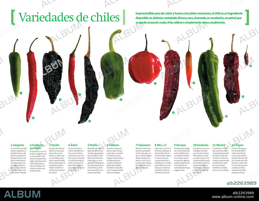 Variedades de chiles. Infografía sobre los diferentes tipos de chile que se usan en la cocina mexicana.