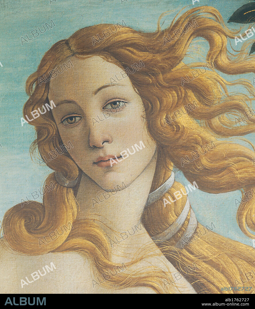 The Birth of Venus, by Sandro Filipepi Known as Botticelli, 1484-1485 about, 15th Century, tempera on canvas, cm 184,5 x 285,5. Italy, Tuscany, Florence, Uffizi Gallery. Detail. The face of Venus, three quarters on, tilted towards the observer. Long flowing blonde hair tied with a light blue azure cord. Authorization required for non editorial use.