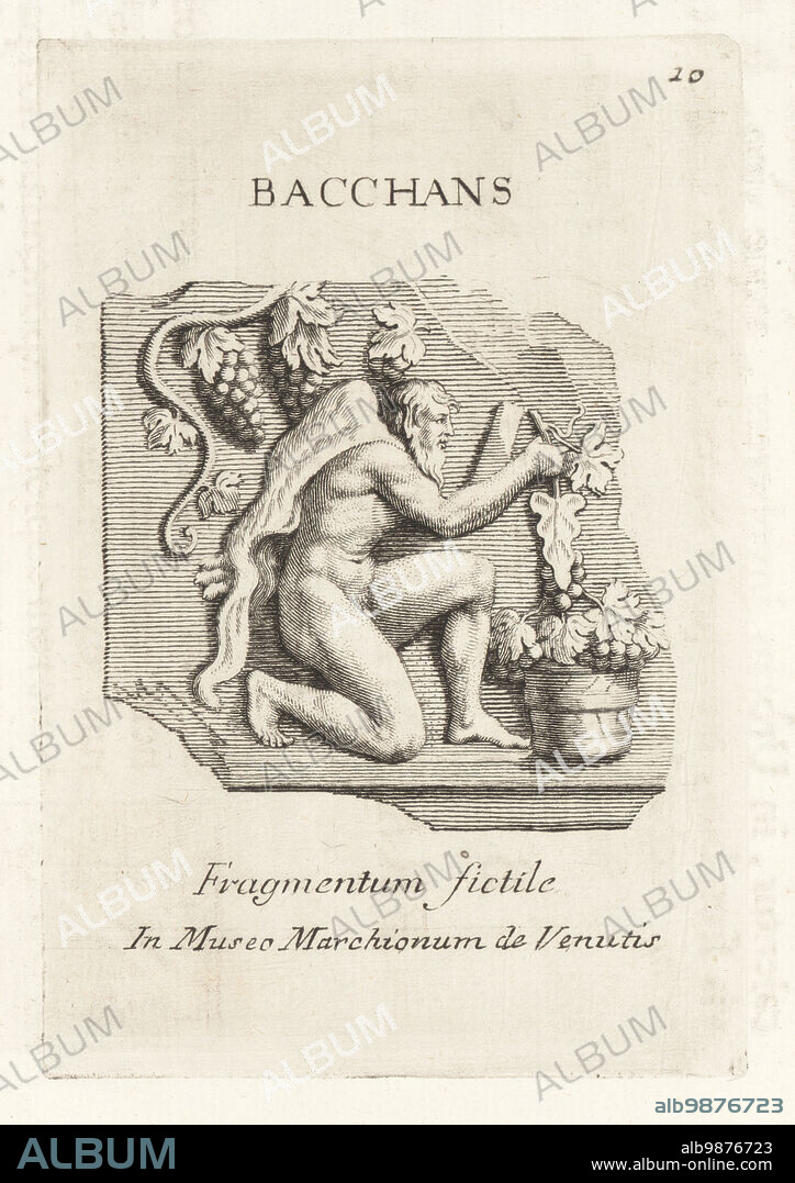 A bearded naked man in animal skin harvesting grapes for wine for a Bacchanalia. Fufluns Pacha was the Etruscan wine god. From a terracotta fragment. Roman Bacchus, Greek Dionysus. Bacchans Fragmentum fictile in Museo Marchionum de Venutis. Copperplate engraving from Francesco Valesio, Antonio Gori and Ridolfino Venutis Academia Etrusca, Museum Cortonense in quo Vetera Monumenta, (Etruscan Academy or Museum of Cortona), Faustus Amideus, Rome, 1750.
