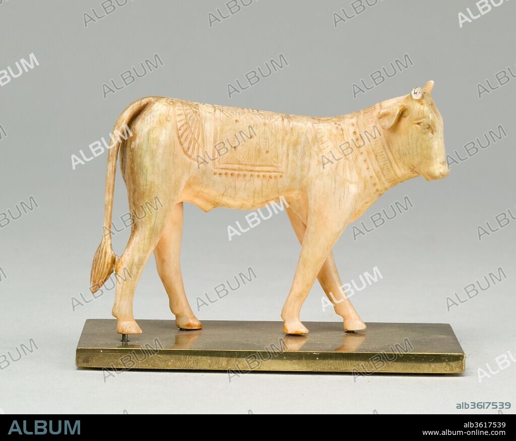 Apis Bull Statuette. Dimensions: L. 8.7 cm (3 7/16 in), w. 2.7 cm (1 1/16 in), H. 6.2 cm (2 7/16 in). Dynasty: Dynasty 26-30. Date: 664-343 B.C..
One of the most important animal deities of ancient Egypt was the sacred Apis bull, whose worship is attested from Dynasty I. Near the Ptah temple at Memphis, Egypt's old capital, a living representative of the Apis bull was stabled. He was paraded out at festive occasions to participate in ceremonies of fertility and regeneration. The bull that played this important role was selected for displaying color patterns, such as a white triangle on the forehead and black patches resembling winged birds on the body. In the ivory figure, the white triangle is indicated by a sunken area on the head, while engravings of a vulture with wings spread and a winged scarab flank an elaborate blanket on the back. When Apis bulls died, they were embalmed and buried with all honors. Beginning with the reign of Amenhotep III (1390-1352 B.C.) in Dynasty 18, the place of Apis burials was a huge and growing underground system of chambers called the Serapeum in the Memphite necropolis, Saqqara. The mothers of Apis bulls had their own cult and burial place.