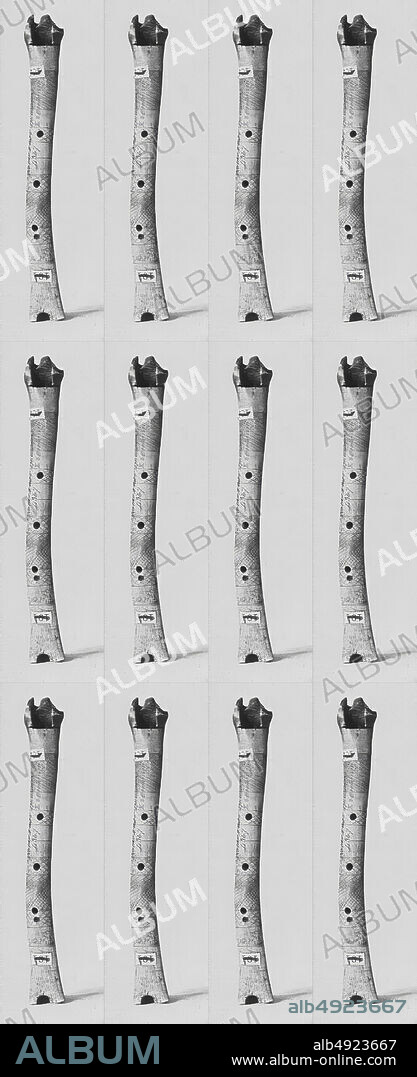 Wat-Sa-Pua, Native American (Guyanese), 19th century, Guyana, Native American (Guyanese), Bone, black wax (or natural rubber), 8 1/8 × 1 1/8 in. (20.7 × 2.9 cm), Aerophone-Blow Hole-end-blown flute (vertical).