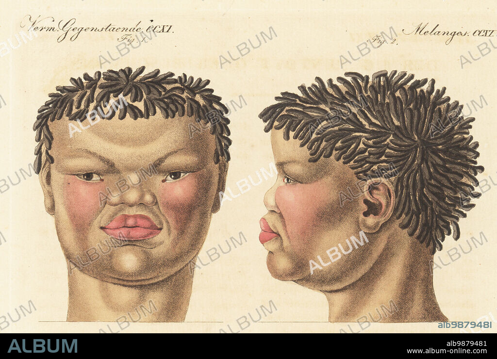 Portrait and profile of a 20-year-old Khoekhoe or Khoikhoi man of South Africa. Der Hottentots oder Buschmann. Drawn and engraved from life by Johann Friedrich Schroter of Leipzig. Handcoloured copperplate engraving from Carl Bertuch's Bilderbuch fur Kinder (Picture Book for Children), Weimar, 1815. A 12-volume encyclopedia for children illustrated with almost 1,200 engraved plates on natural history, science, costume, mythology, etc., published from 1790-1830.