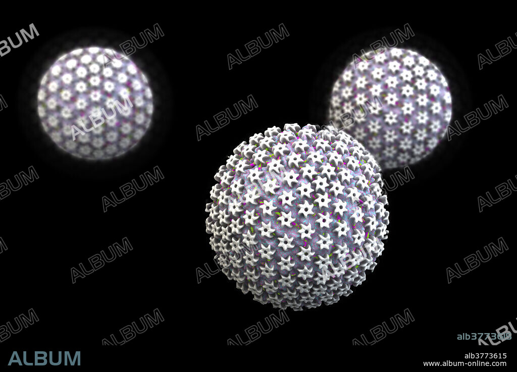 Herpes virus particle, artwork. Each particle (virion) consists of a deoxyribonucleic acid (DNA) genome surrounded by an icosahedral capsid, which is itself surrounded by an envelope covered in glycoprotein spike. Members of the herpes virus family include several that infect humans: herpes simplex viruses type 1 and type 2 (oral and genital herpes), varicella-zoster virus (chicken pox and shingles), Epstein-Barr virus (glandular fever) and cytomegalovirus (various infections).