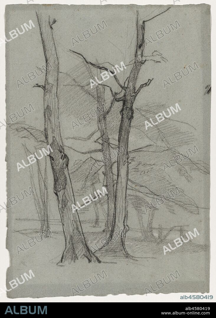 Landscape Study with Trees, c. 1870-1875.