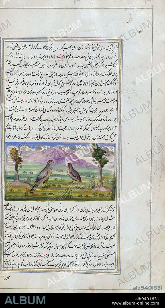 The lights of Canopus, A partridge and a hawk, This is an illuminated and illustrated copy of Anvr-i Suhayl (The lights of Canopus), dating to the thirteenth century AH / nineteenth CE. It is a Persian version of Kallah wa-Dimnah (The fables of Bdpy). It was completed on 26 Jumdá I 1264 AH / 1847 CE by Mrz Ram. The text is written in nastaliq script in black and red ink, revealing the influence of shikastah script. There are 123 paintings illustrating the text. The Qajar binding is original to the manuscript.