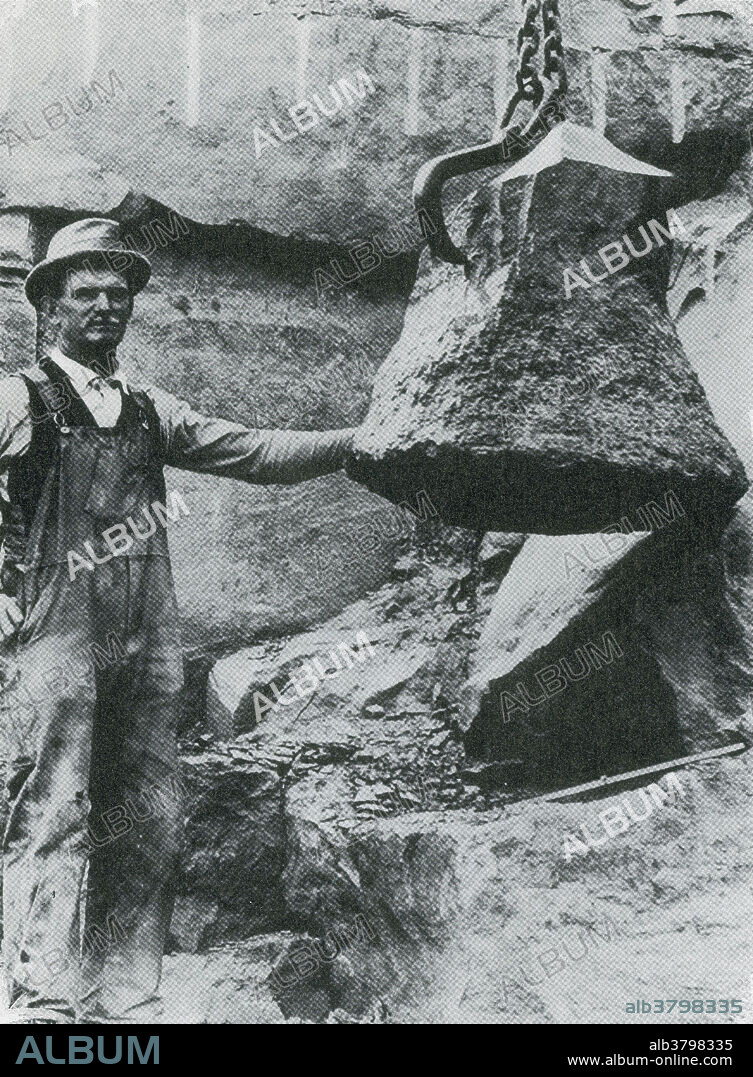 Wattieza Petrified Tree Stump, 1921