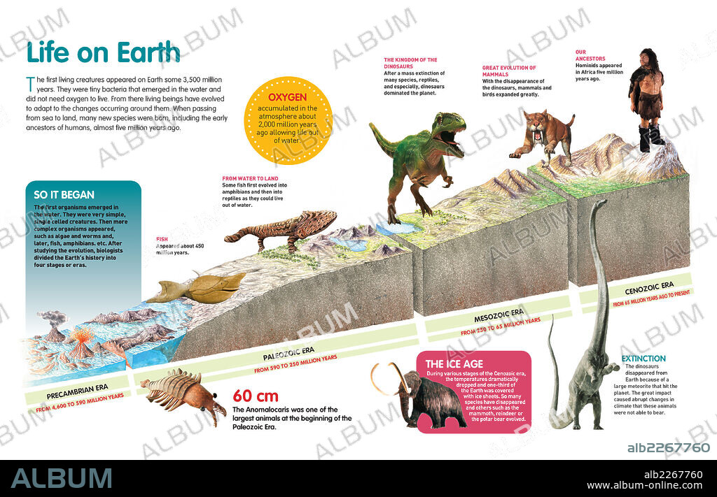 La vida en la Tierra. Infografía que describe la evolución de la vida en la Tierra a través de las eras geológicas.