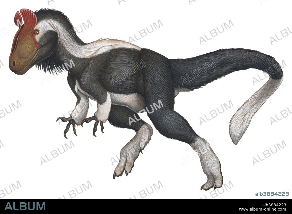Cryolophosaurus, a large theropod that lived during the Early Jurassic Period. Acrylic painting.